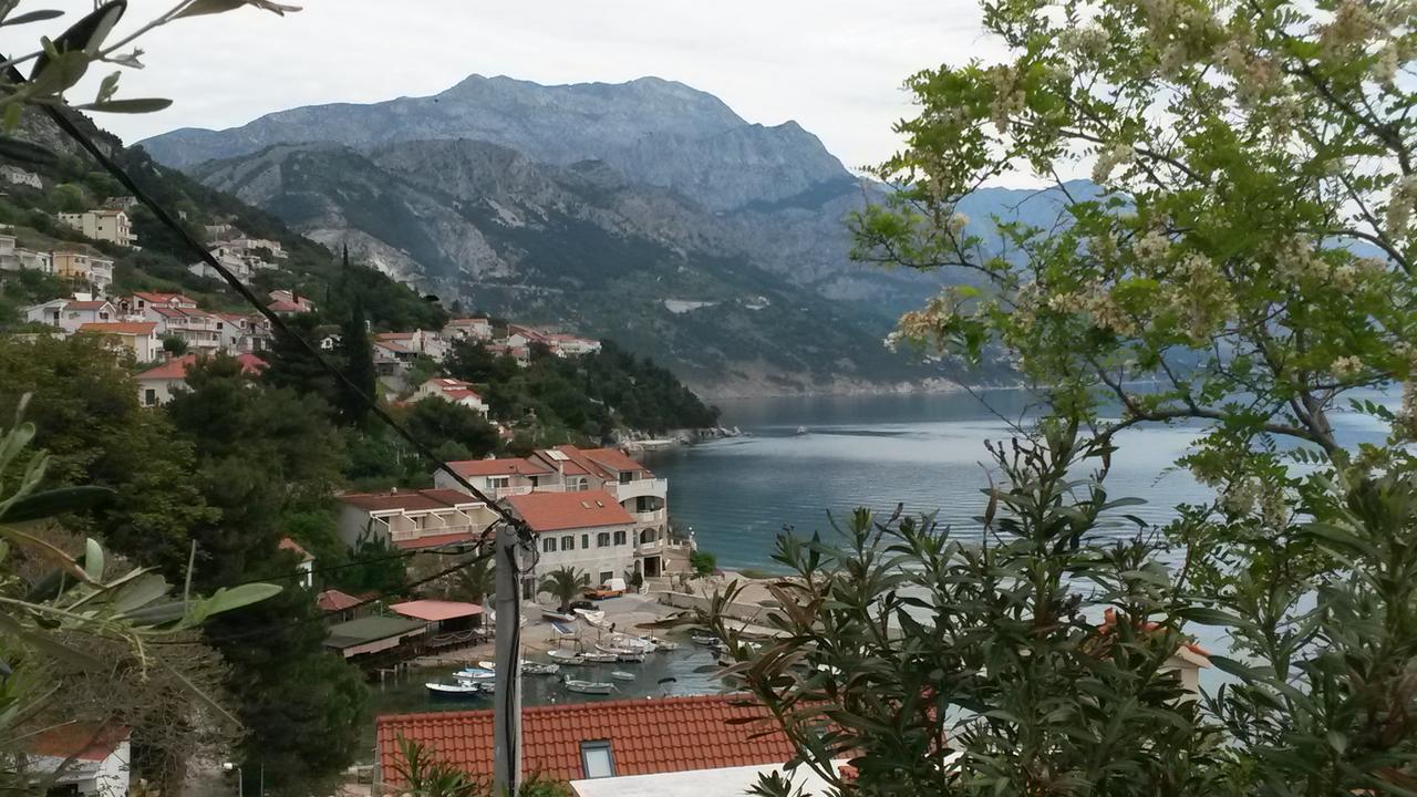 Apartmán Rose Pisak